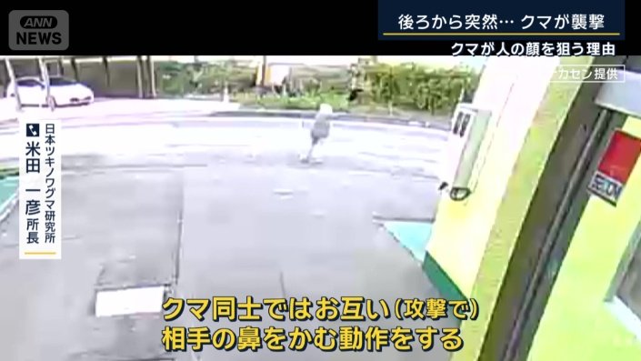 日本ツキノワグマ研究所　米田一彦所長