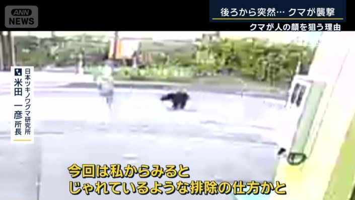 日本ツキノワグマ研究所　米田一彦所長