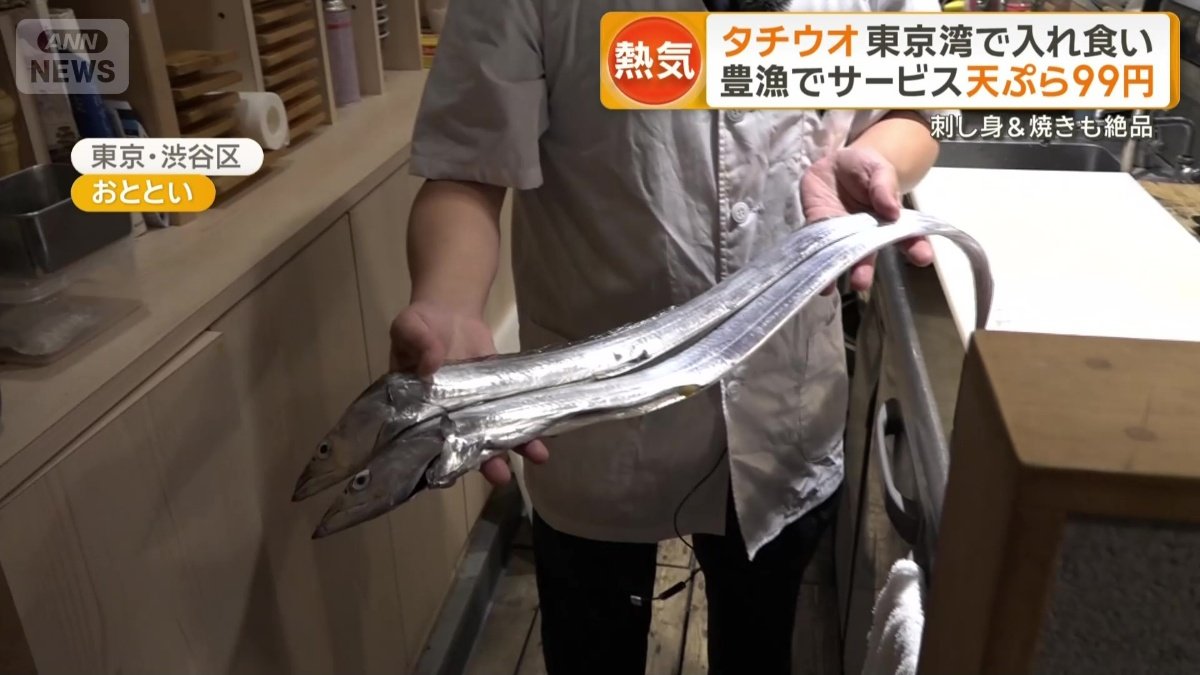 オーナーが釣った新鮮なタチウオ