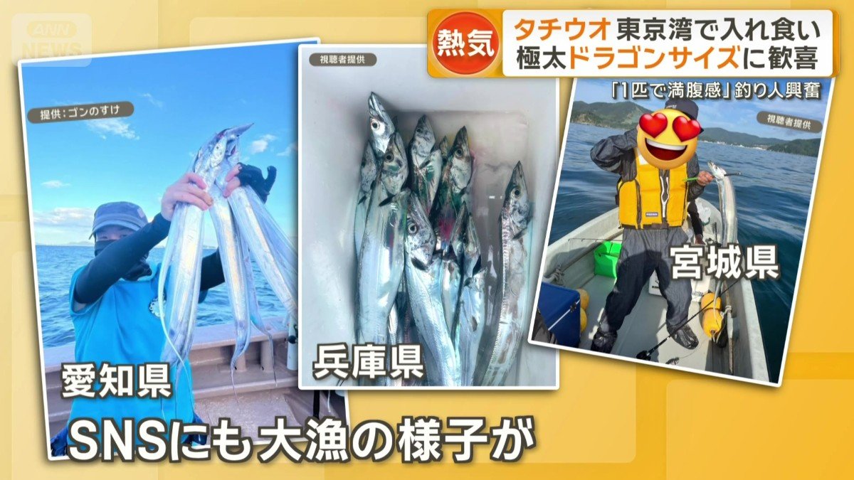 SNSにタチウオが簡単に大量に釣れたという報告