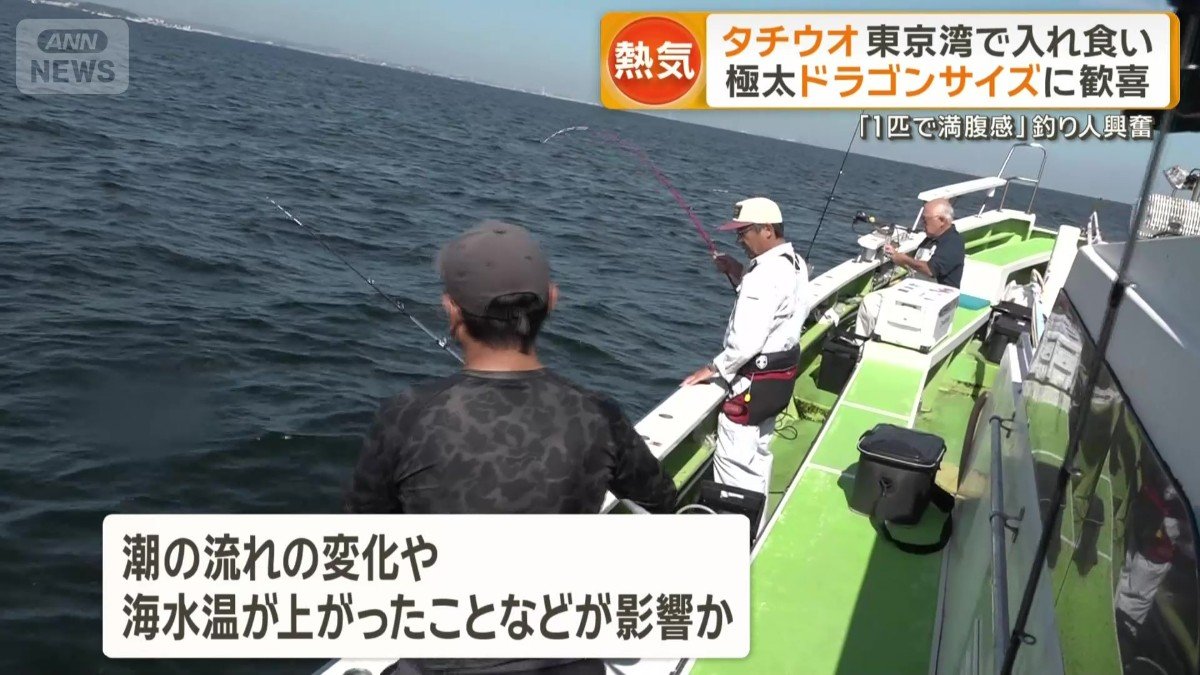 潮の流れが変わり海水温が上がったこと影響か