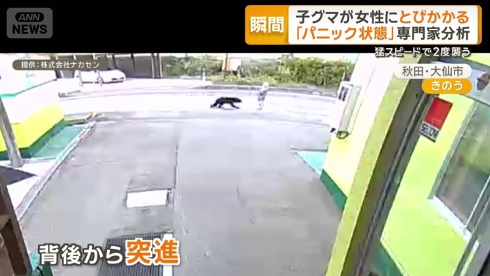 女性を襲うクマ