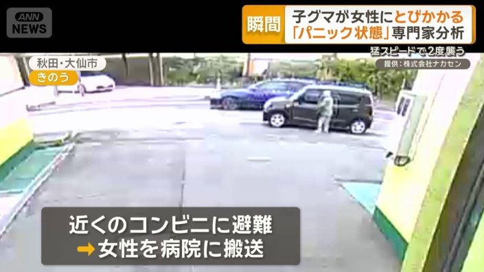 目撃者が女性を車に