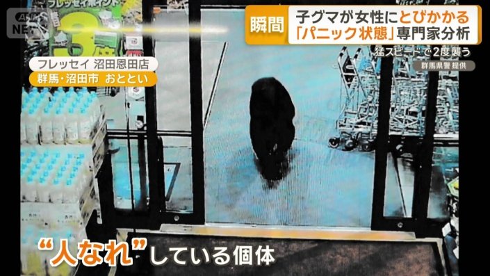 群馬のスーパー店内に出没したクマ