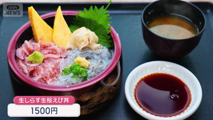 生のサクラエビと生のシラスをしきつめた2色丼