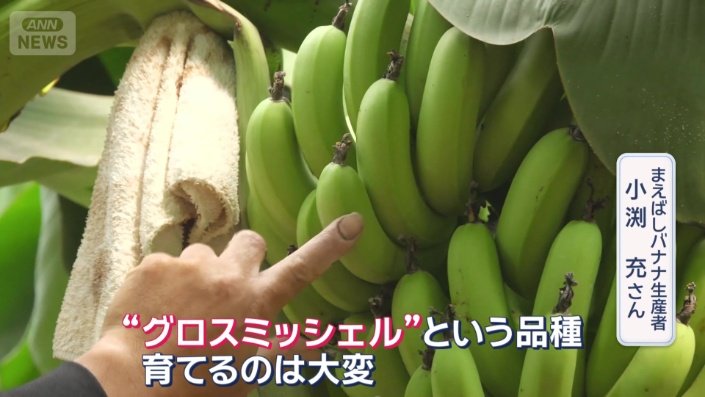 グロスミッシェル