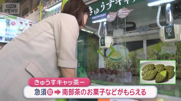 きゅうすキャッ茶―