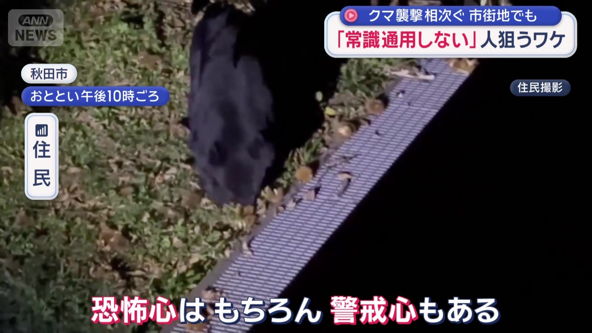 秋田市の住宅でも…