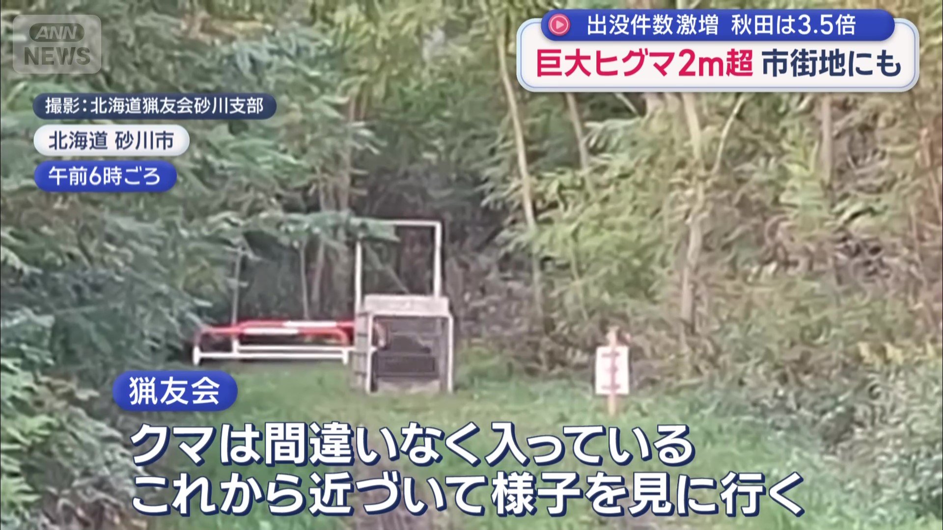 住宅から近い林に設置した箱罠