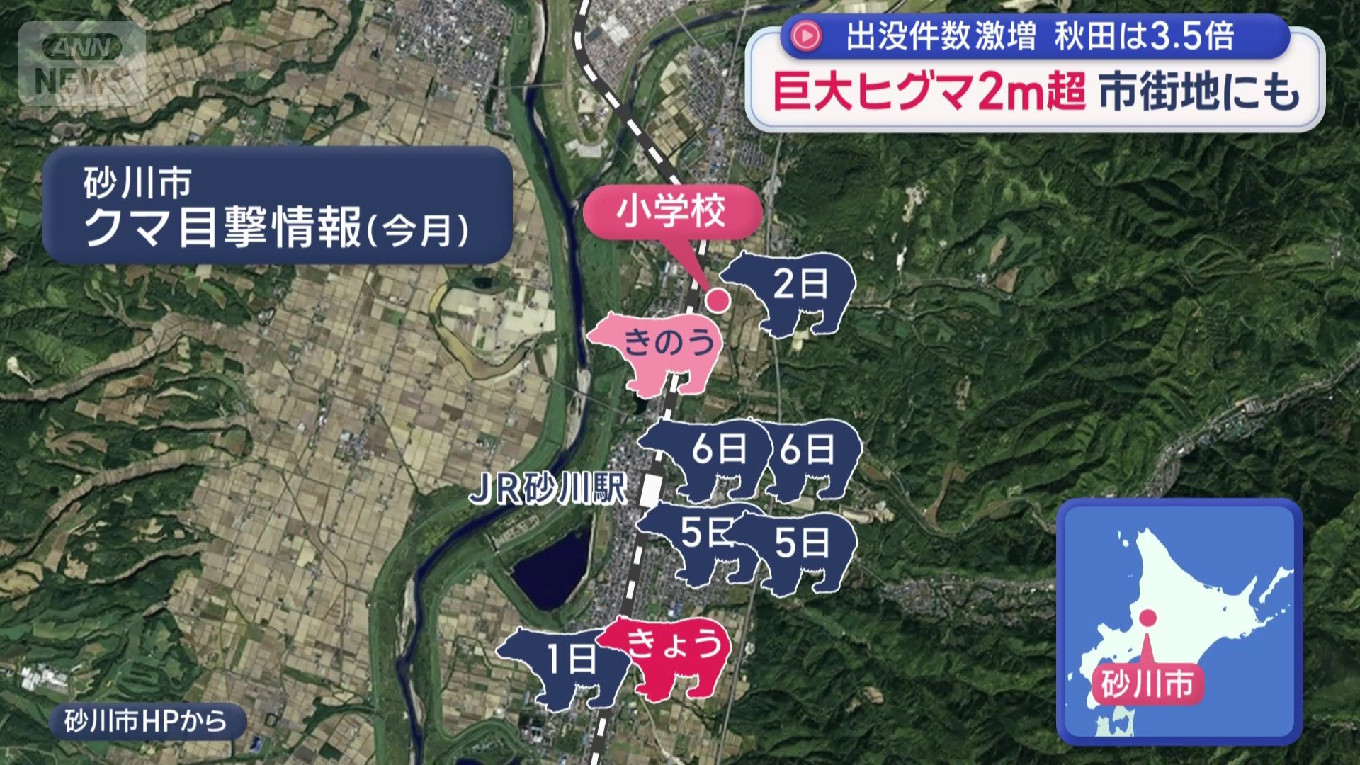 小学校近くの踏切でヒグマが目撃