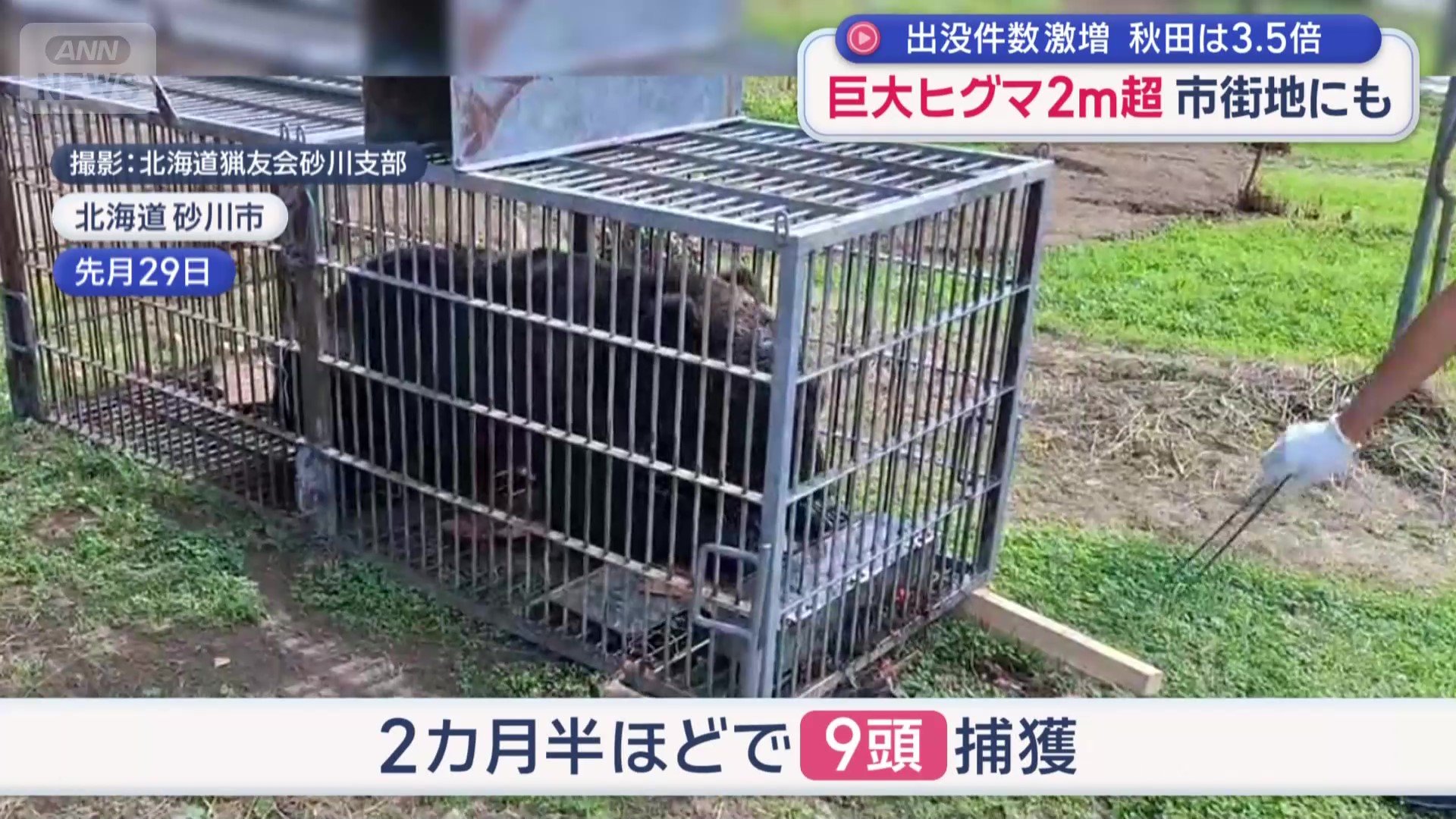 2カ月半ほどで9頭捕獲
