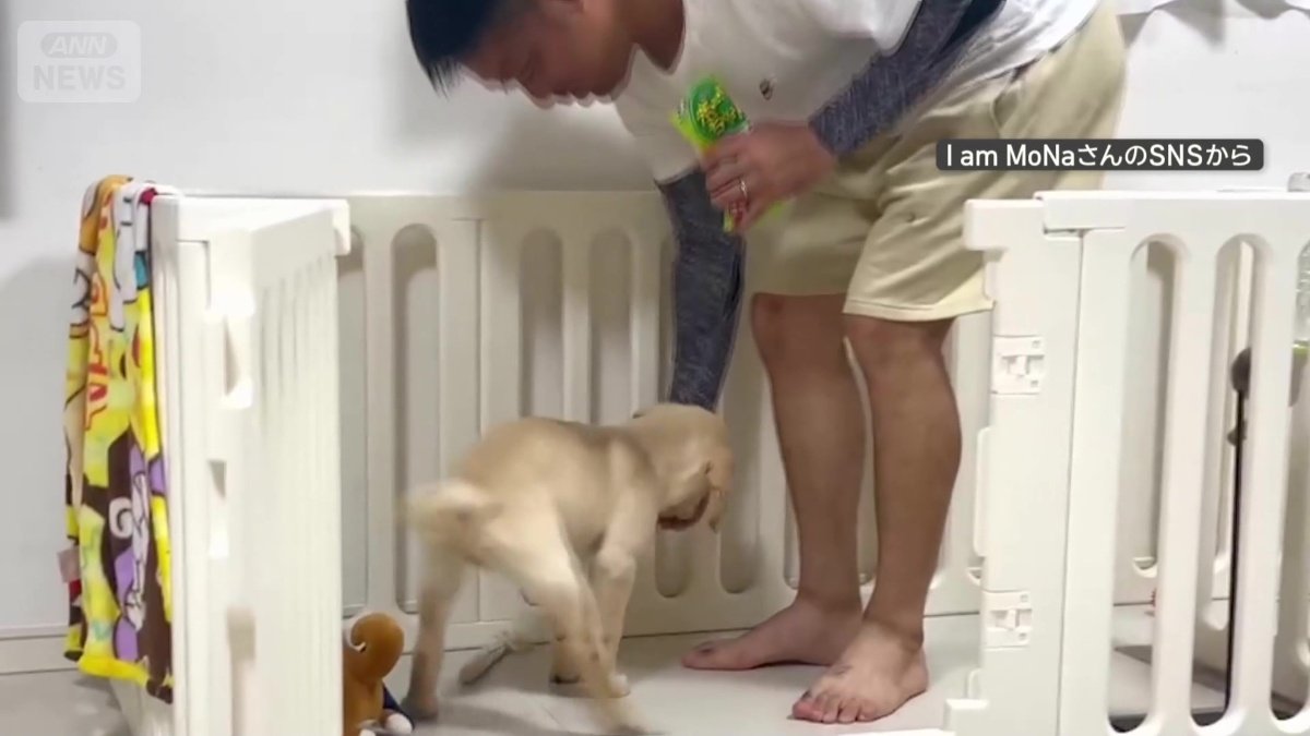 ご褒美をもらって完了！