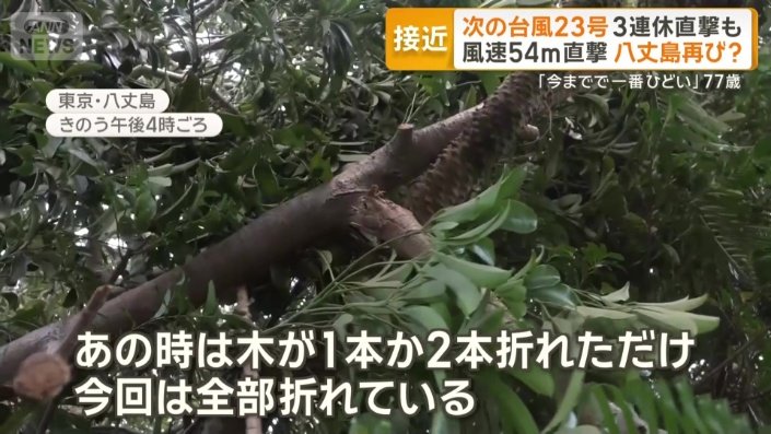 木は全部折れている