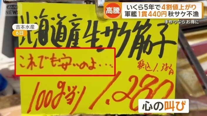 イクラの元となる生スジコ