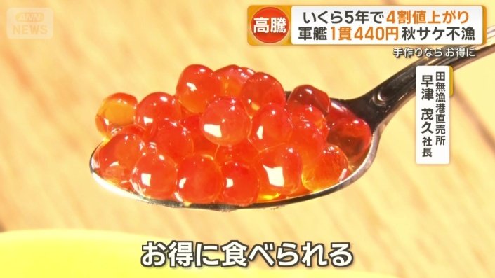 「生スジコを今のうちにばらして…」