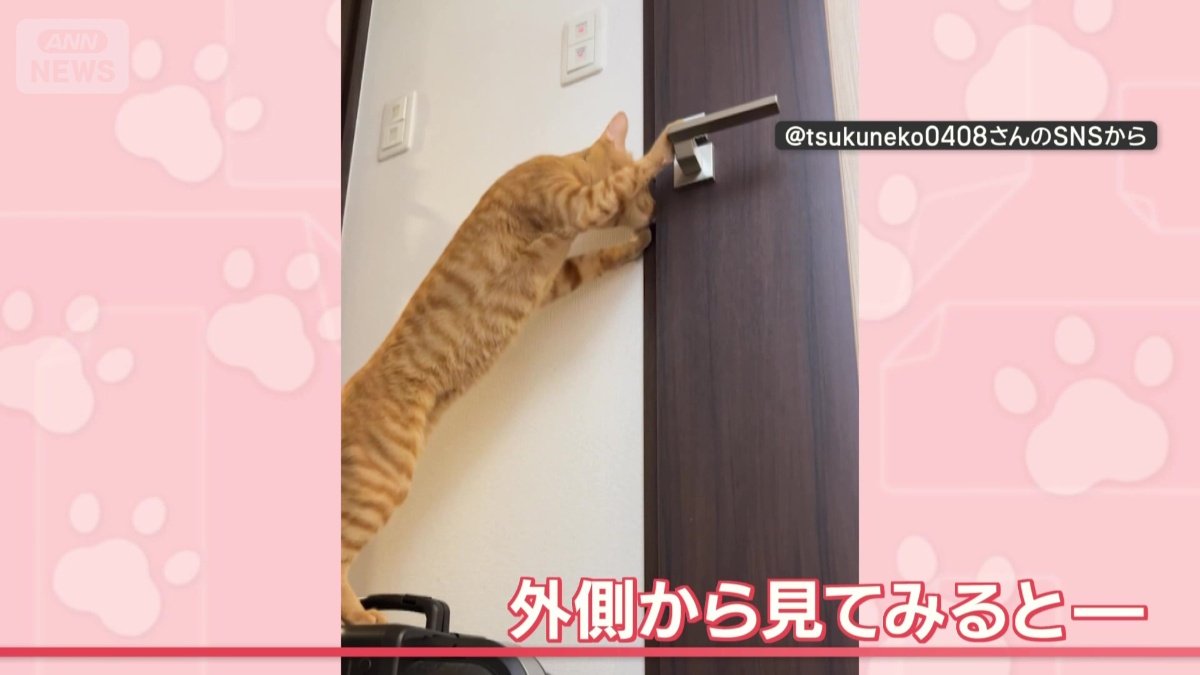 外側から見てみると…