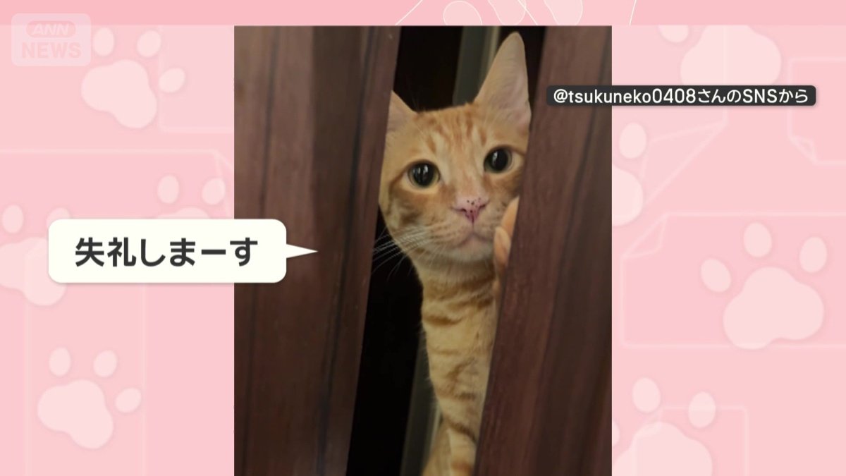 扉を開け、のぞく