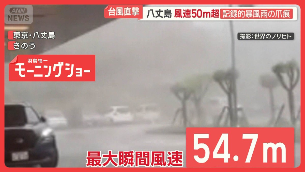 台風22号が直撃の八丈島　停電・断水…自力で倒木撤去　風速50m超の暴風雨で深い爪痕
