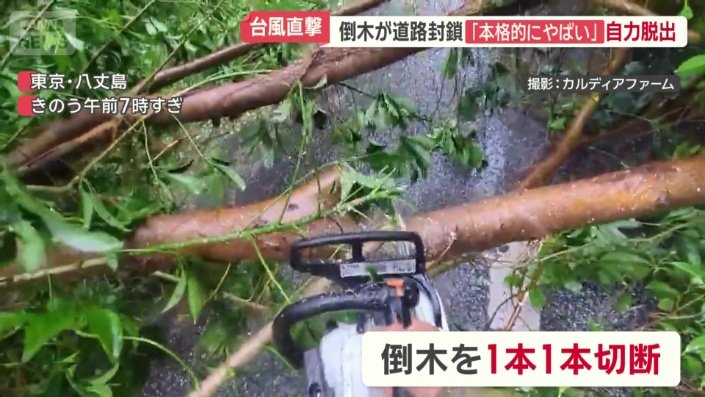 持っていたチェーンソーで倒木を1本1本切断
