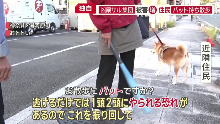 イヌ散歩中の女性の手にバット