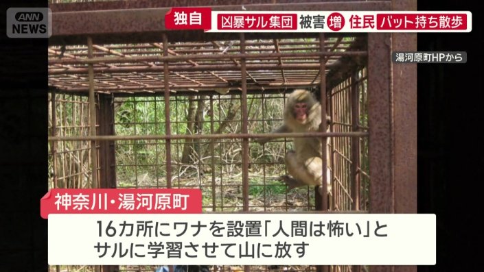 町内16カ所にわなを設置