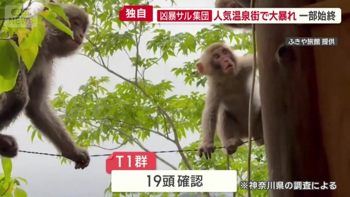 神奈川県湯河原町