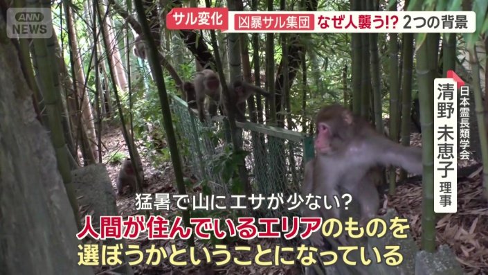 近年の猛暑が関係している可能性も