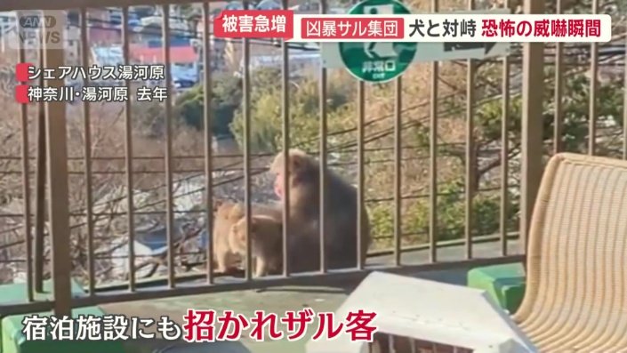 宿泊施設にも…