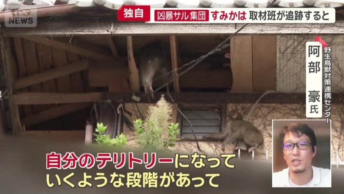 野生鳥獣対策連携センター　阿部豪氏
