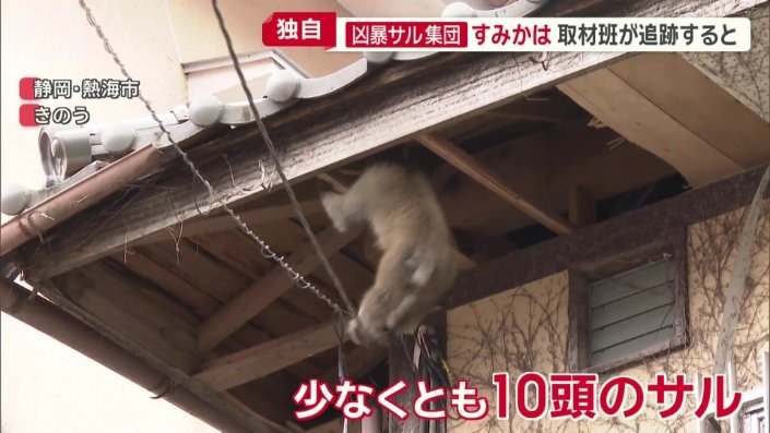 空き家とみられる建物へ