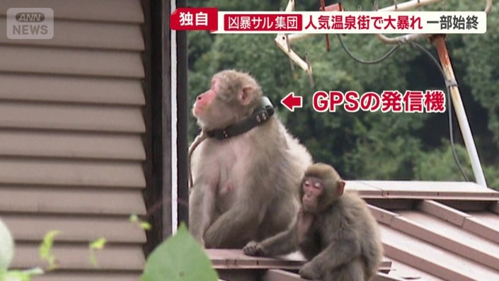 “リーダー格”に取り付ける