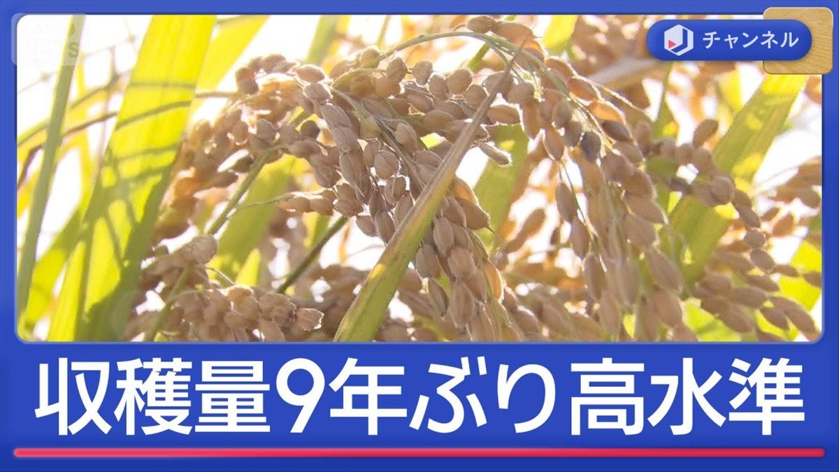 プロ解説　今後コメ安く？　新米出来9年ぶり高水準