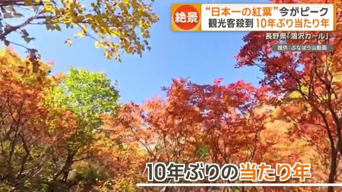 今年は10年ぶりの「当たり年」