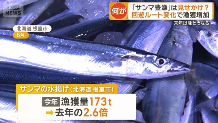 サンマの水揚げ（北海道　根室市）