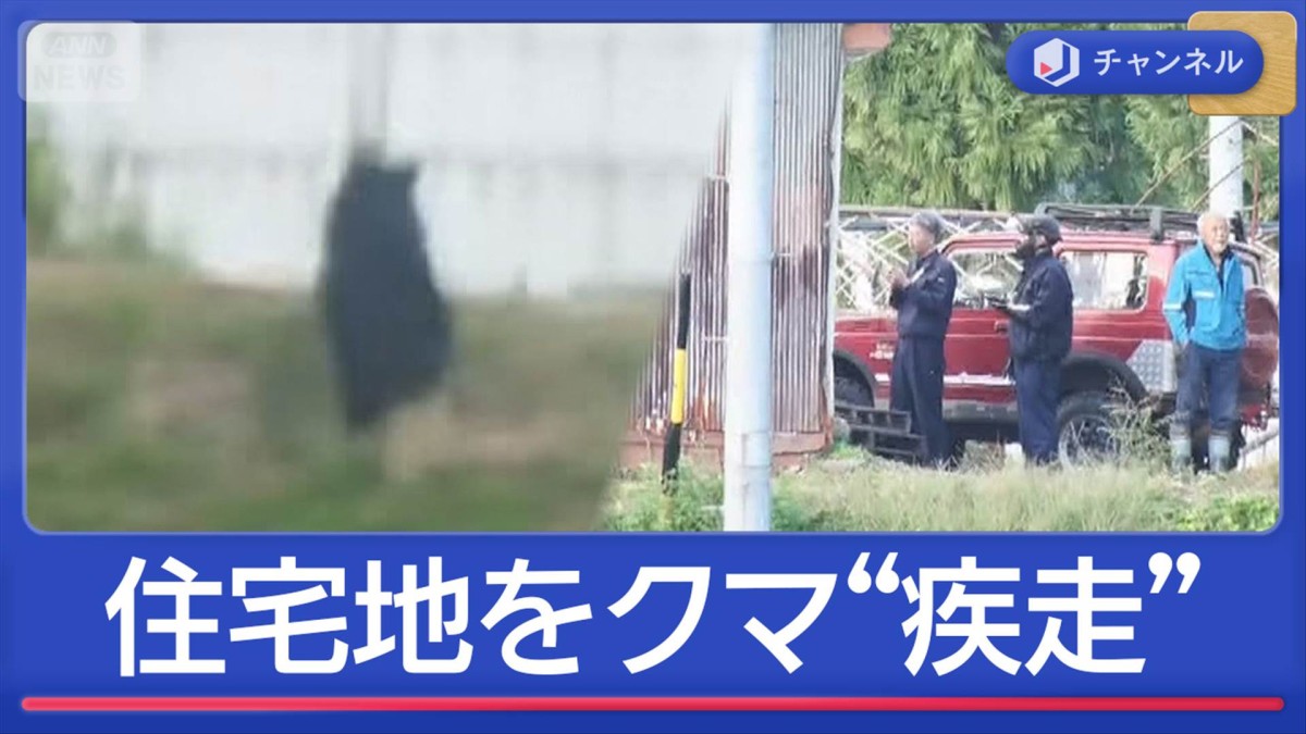3連休中も相次ぐクマ被害　住宅地で発砲も“疾走”