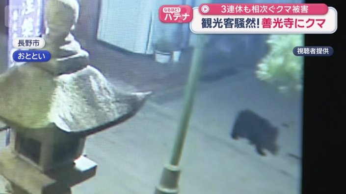 深夜に姿を現した一頭のクマ