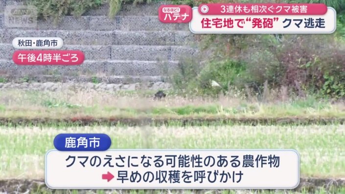 13日午後4時半ごろの様子