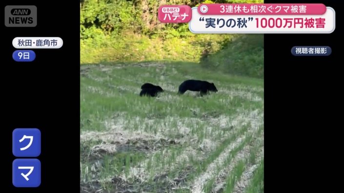 何度も振り向きながら、こちらを警戒