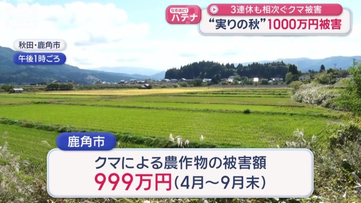 わずか半年で約1000万円の被害