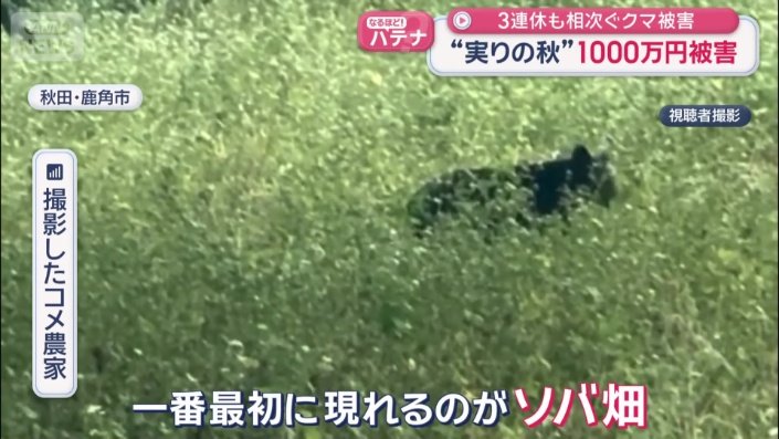 被害はコメだけではない