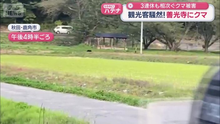 警察官が警戒するなか、猛スピードで走るクマ