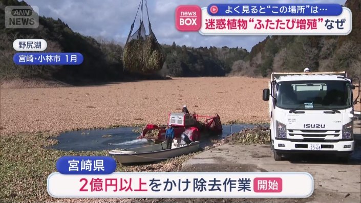 除去作業を開始するも…