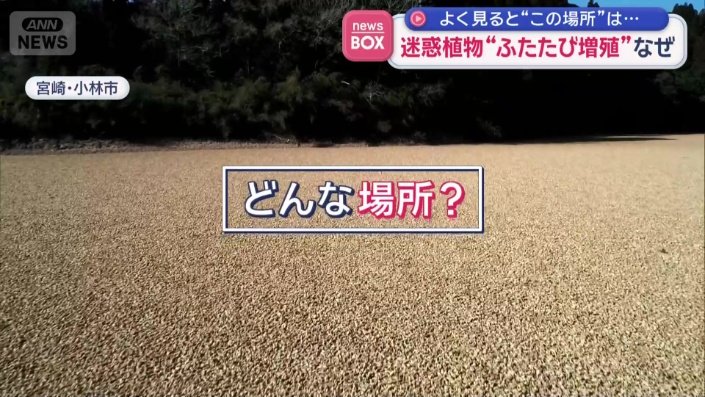 地面が茶色で覆いつくされたこの場所は？