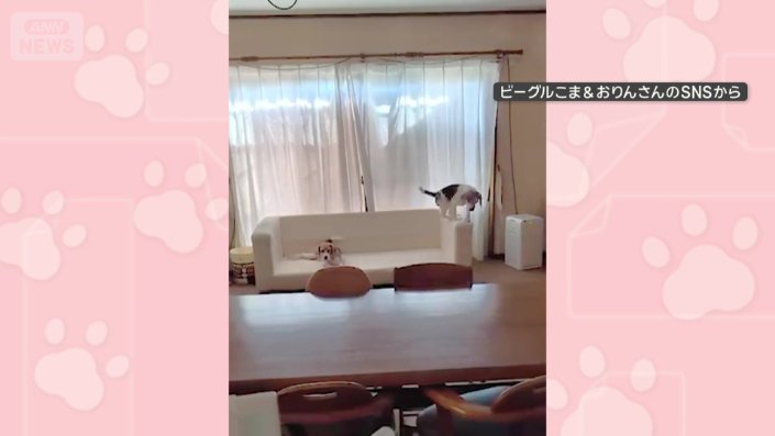 ひじ置きに飛び乗って、お座りすると…