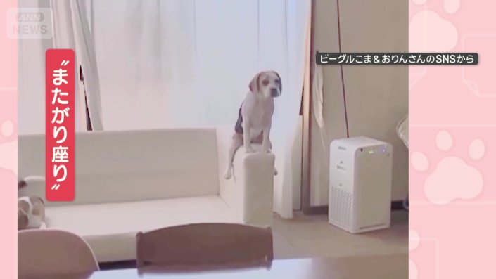 足を開いて“またがり座り”