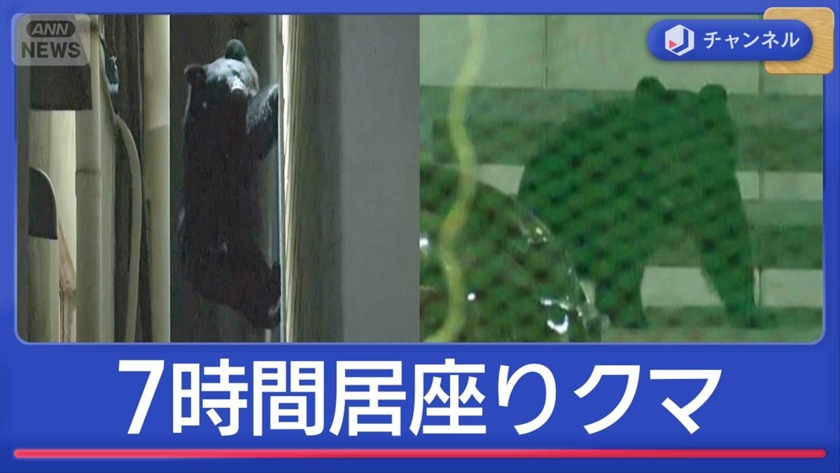 クマ“7時間”も駐車場に　どこへいった？