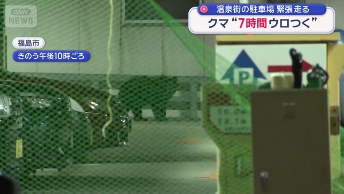 網の奥にクマの姿
