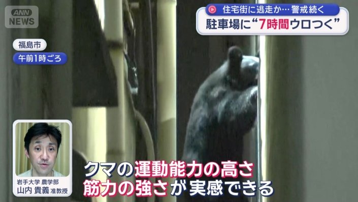 クマの脚力と腕力は非常に強いという