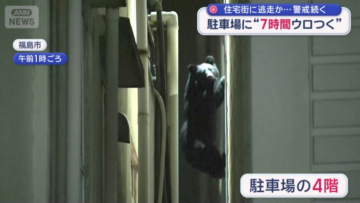建物の間を行ったり来たりして、およそ7時間にわたり居座った