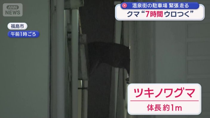 住宅街に現れたツキノワグマ